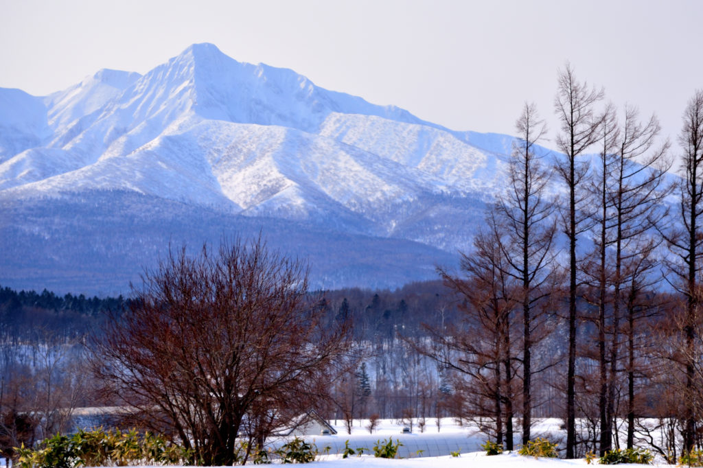 雪で覆われた斜里岳と樹々