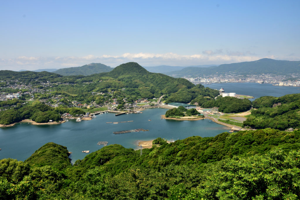 緑に囲まれる湾
