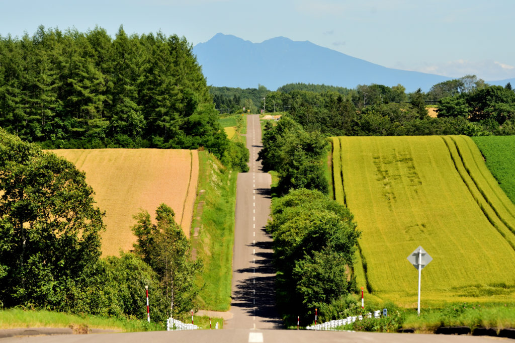 斜里岳に向かう一本道