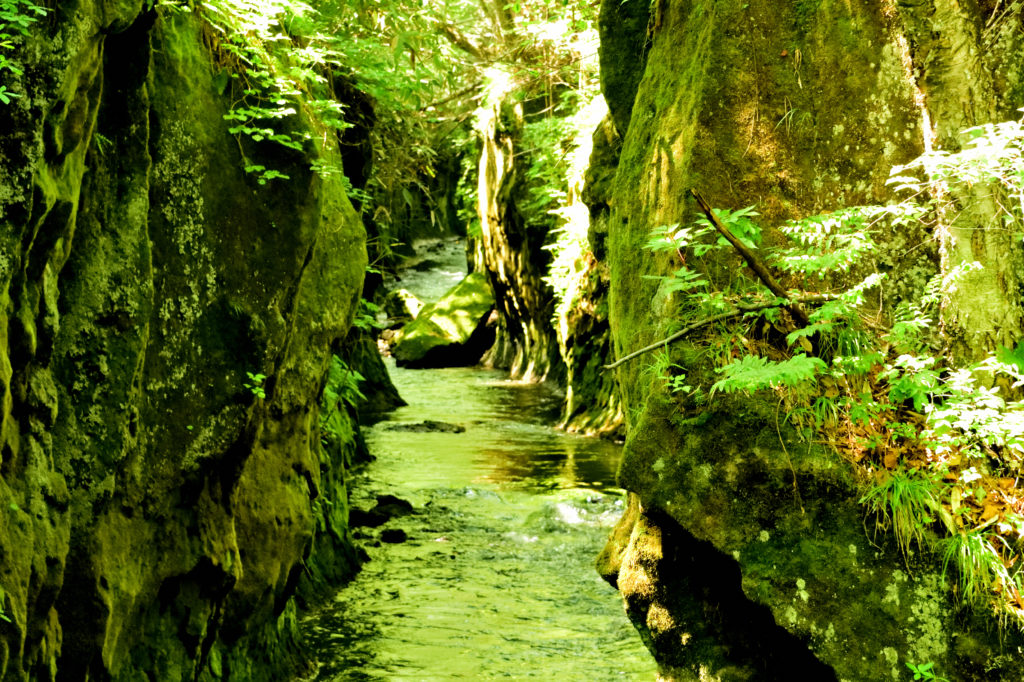 緑の苔に包まれた岩と断崖