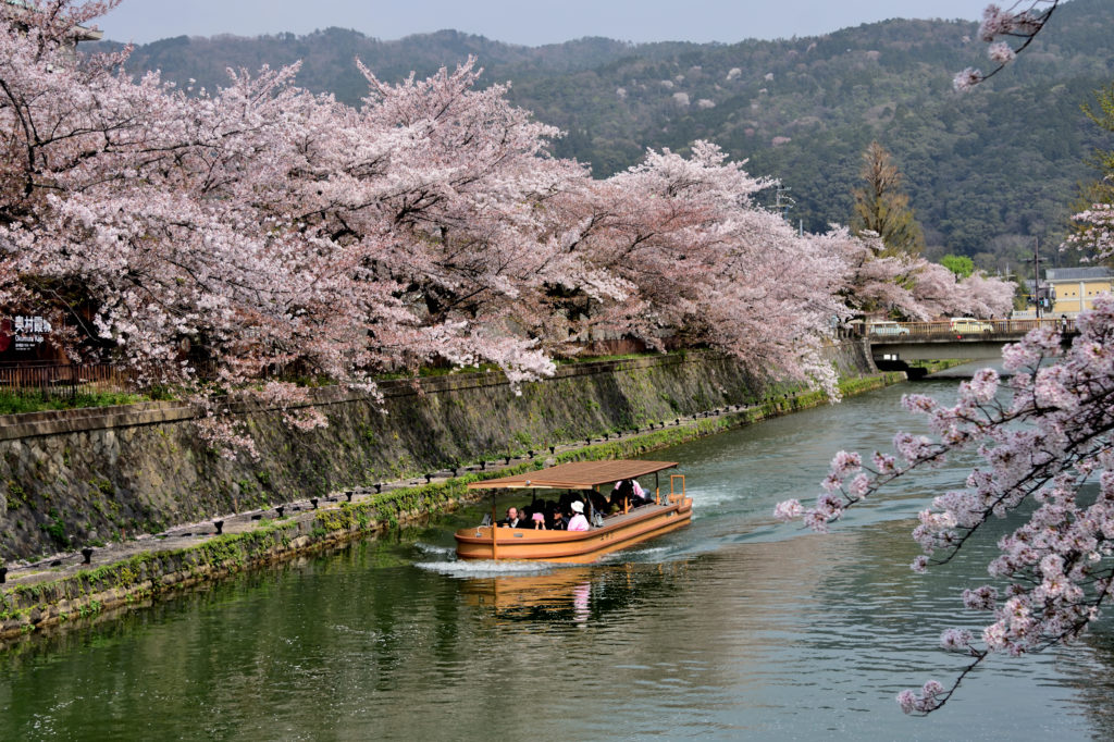 船による桜めぐり