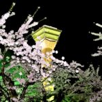 赤城山のつつじの21年の見頃と開花情報は アクセス 直通バスや車 は そらいろ 日本が魅せる多彩な表情