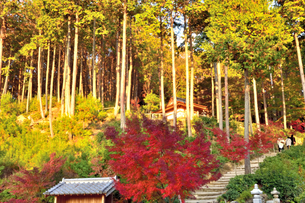 圓光寺の高台