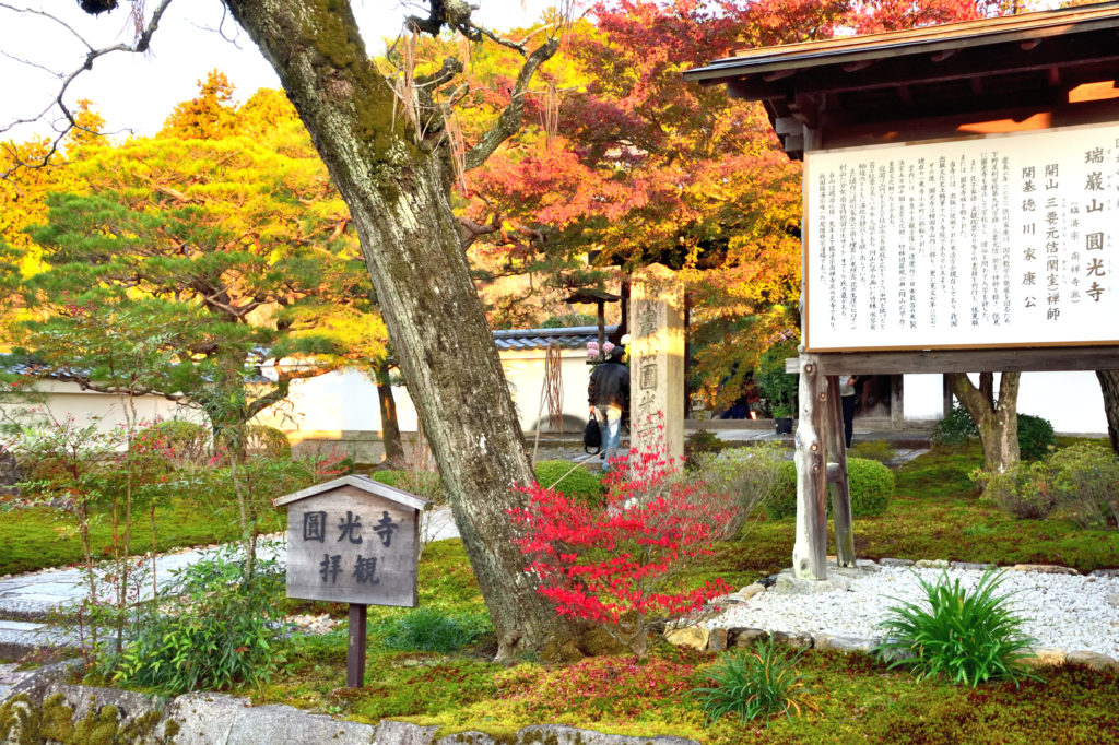 圓光寺の門と紅葉