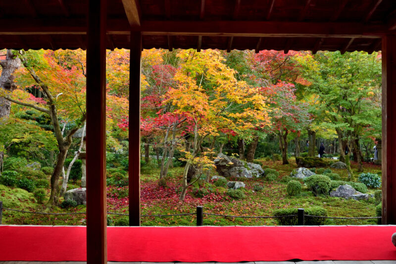 圓光寺の額縁庭園の紅葉