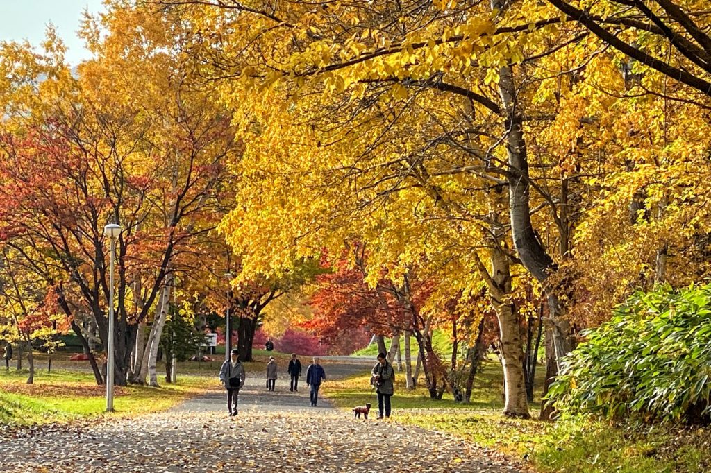 真駒内公園の紅葉の中の散策