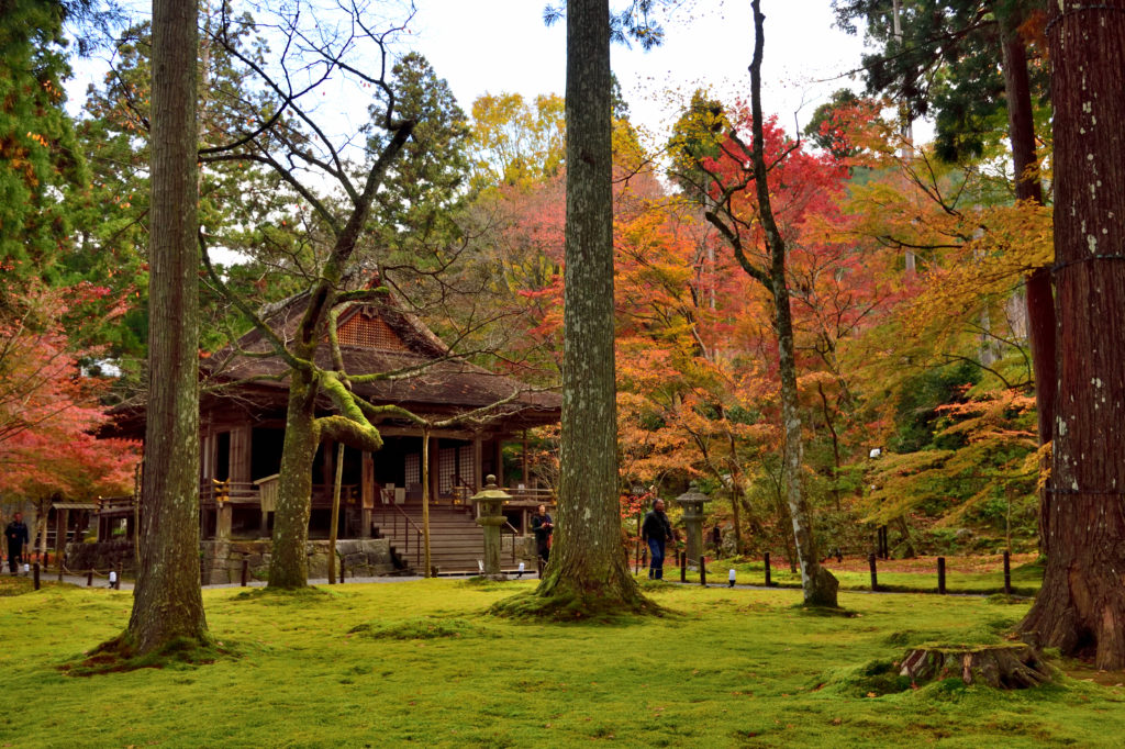 大原三千院の有清園の往生極楽院