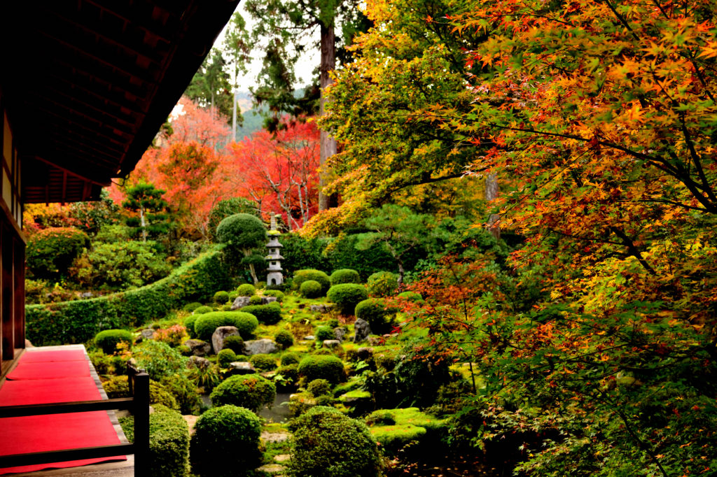 大原三千院の聚碧園と紅葉 