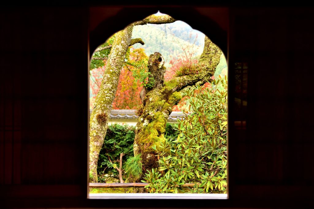 大原三千院の客殿の花頭窓