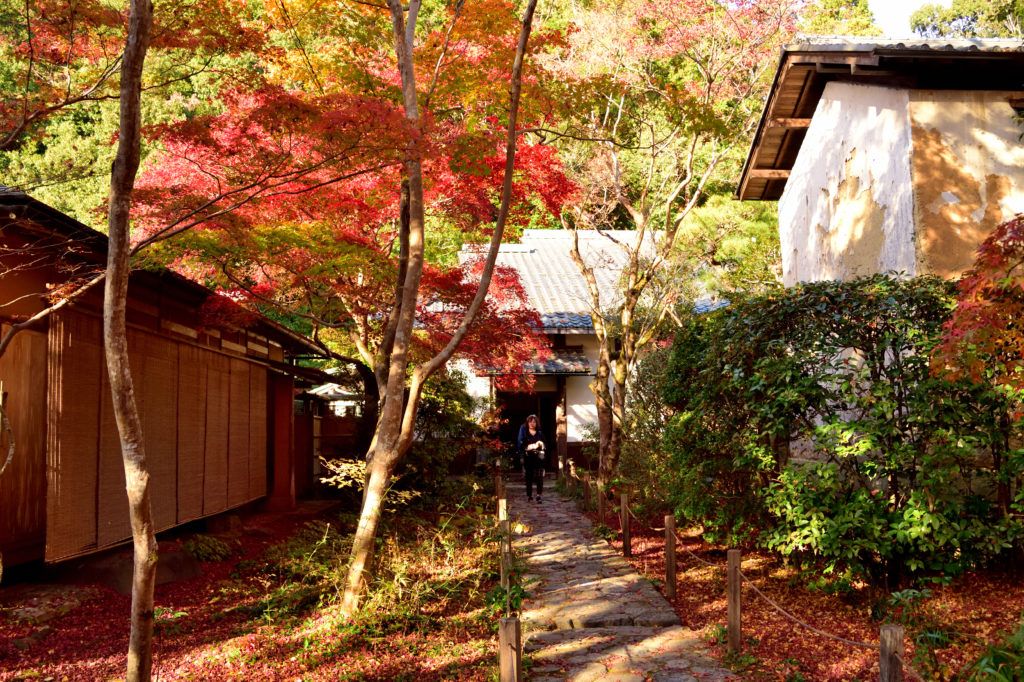 蓮華寺の境内の石畳