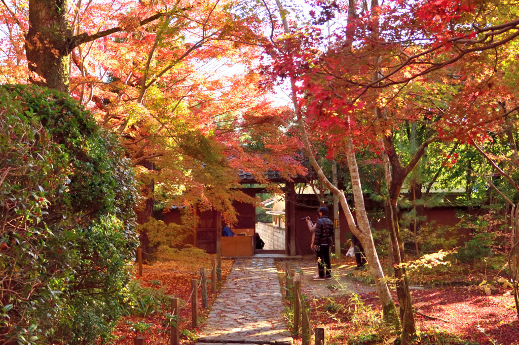 蓮華寺の山門と石畳と紅葉