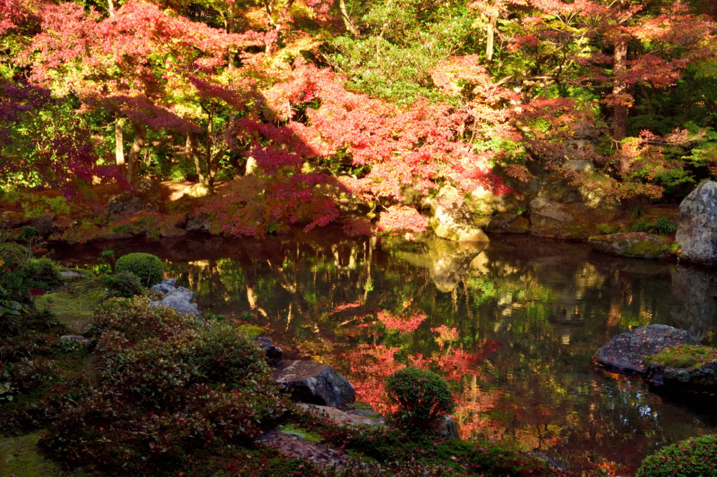 蓮華寺の回遊式庭園の池に映る紅葉