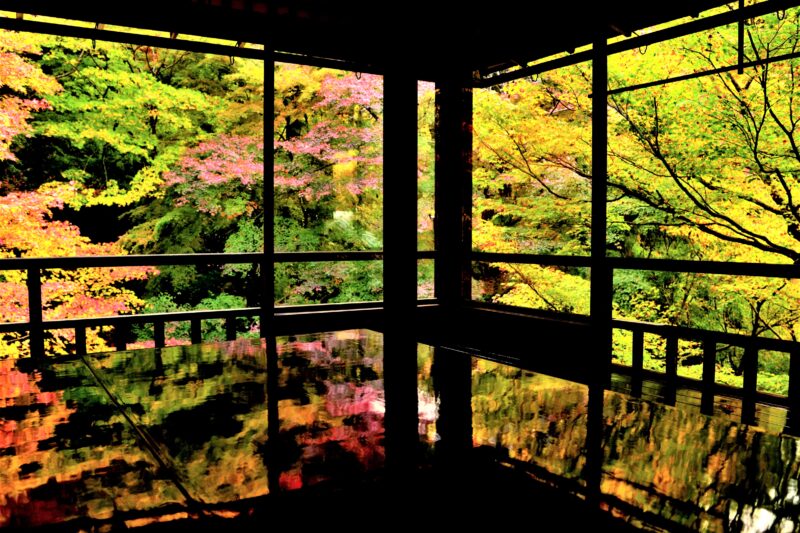 瑠璃光院の紅葉のグラデーション