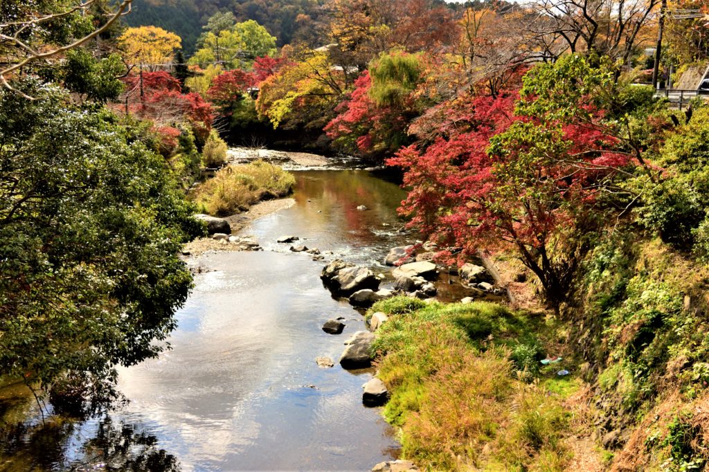 京都の八瀬の紅葉
