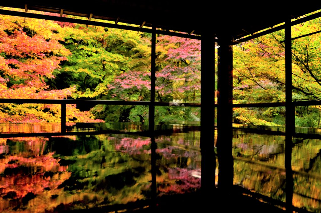 瑠璃光院の書院2階の紅葉のリフレクション