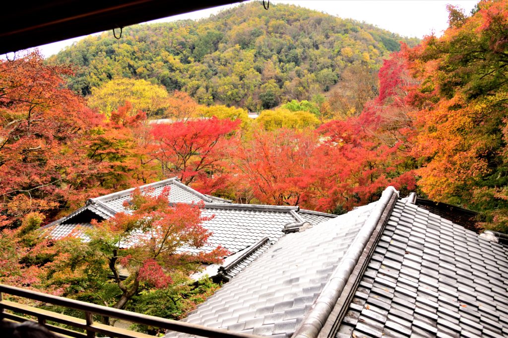 瑠璃光院の2階から見た八瀬の紅葉