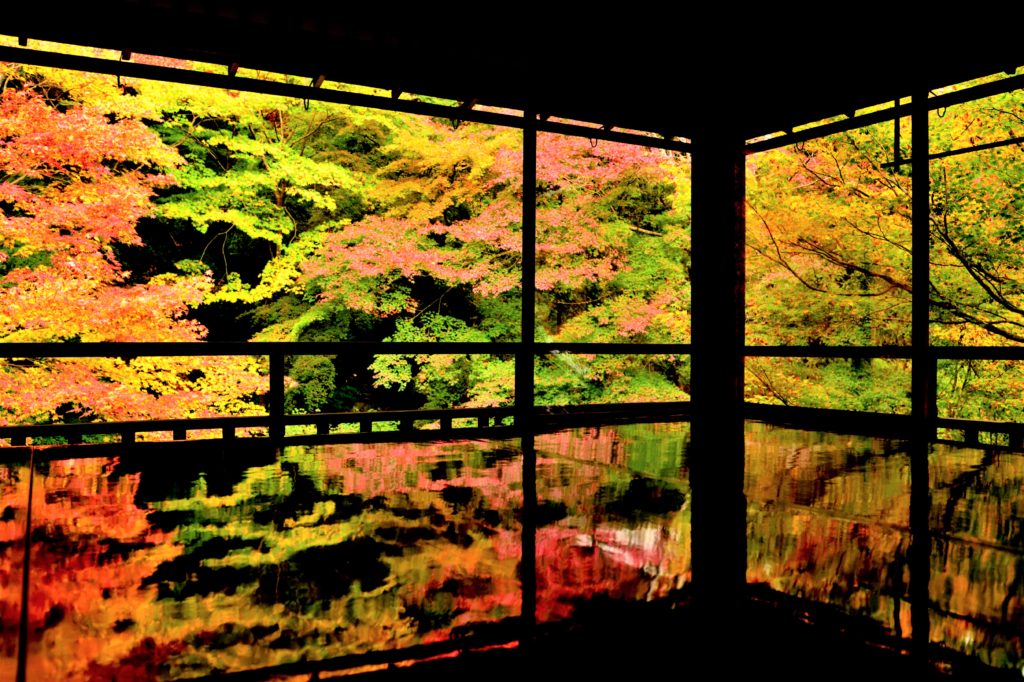 瑠璃光院の書院2階の紅葉の景観