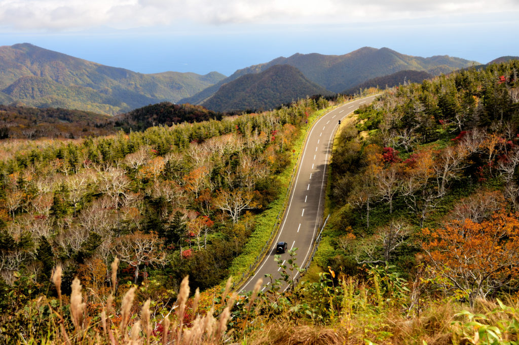 秋の知床横断道路