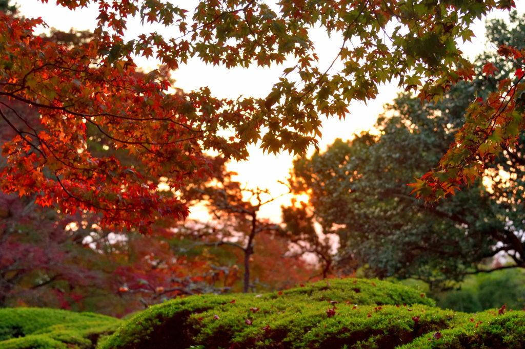 詩仙堂の紅葉