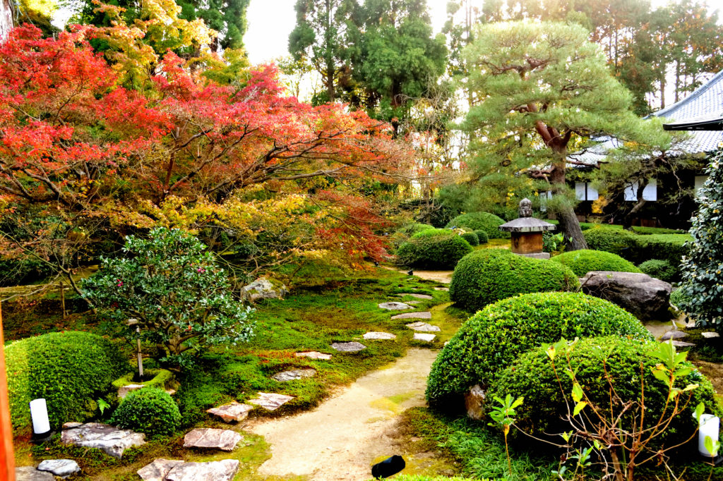 雲龍院の庭園
