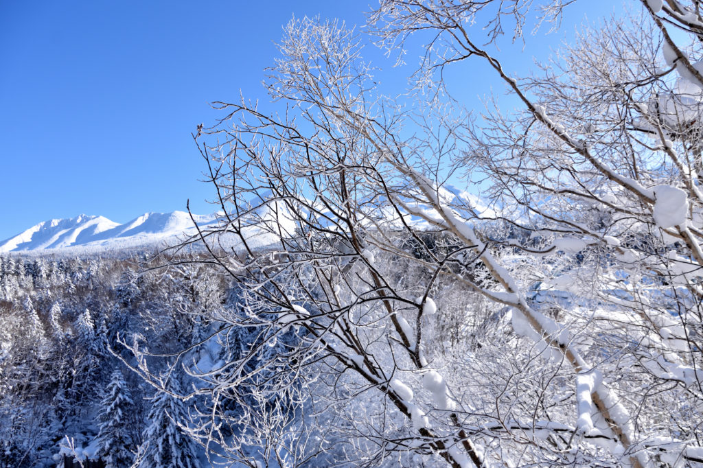 冬の大雪