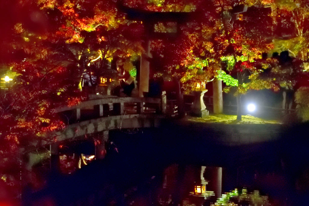 永観堂の紅葉のライトアップ