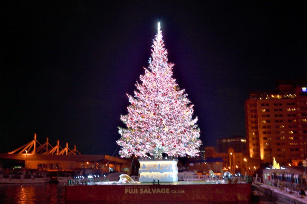 函館クリスマスファンタジーと白いクリスマスツリー