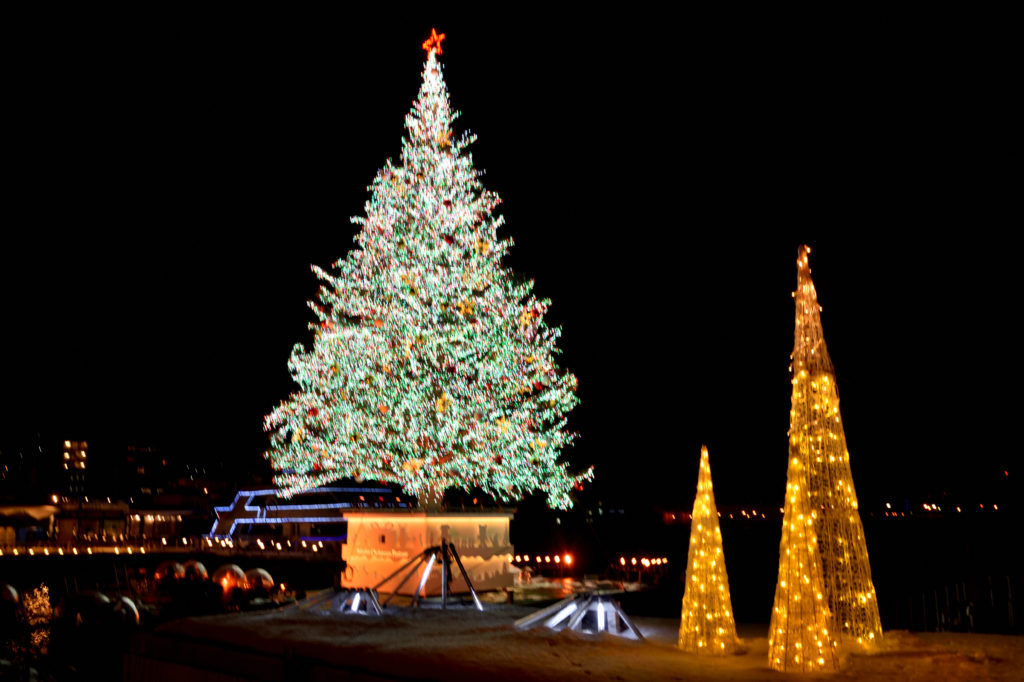 はこだてクリスマスファンタジーのクリスマスツリー