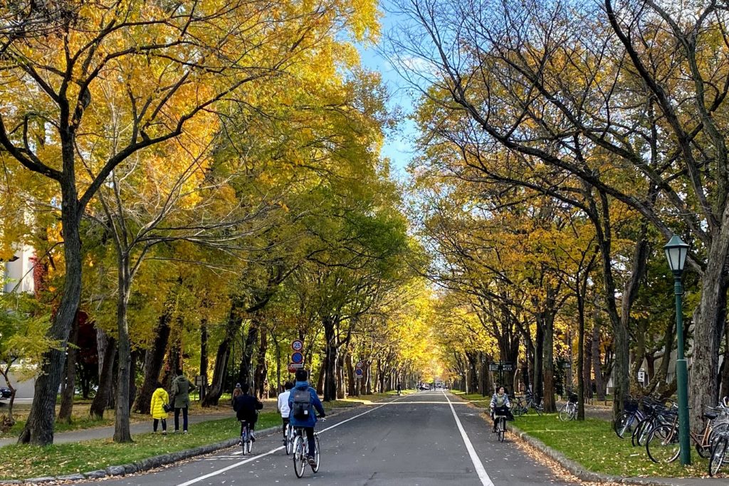 北海道大学構内のオリンピックのマラソンの予定道路