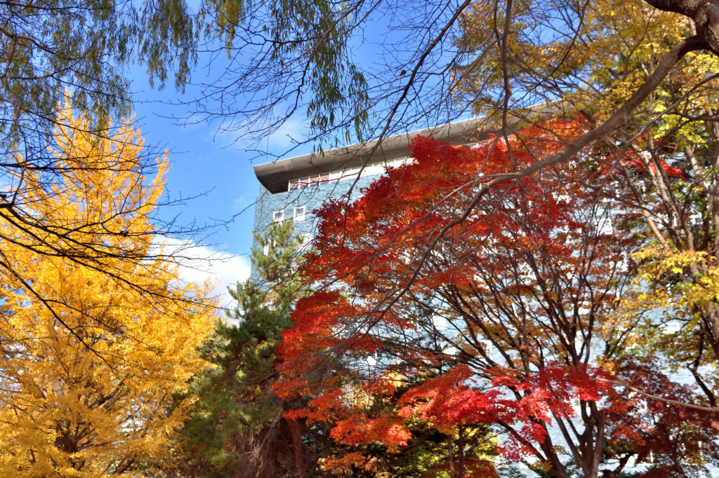 札幌バークホテルと中島公園の紅葉