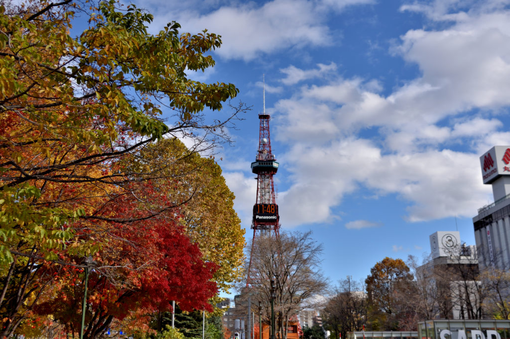 大通公園の紅葉とテレビ塔