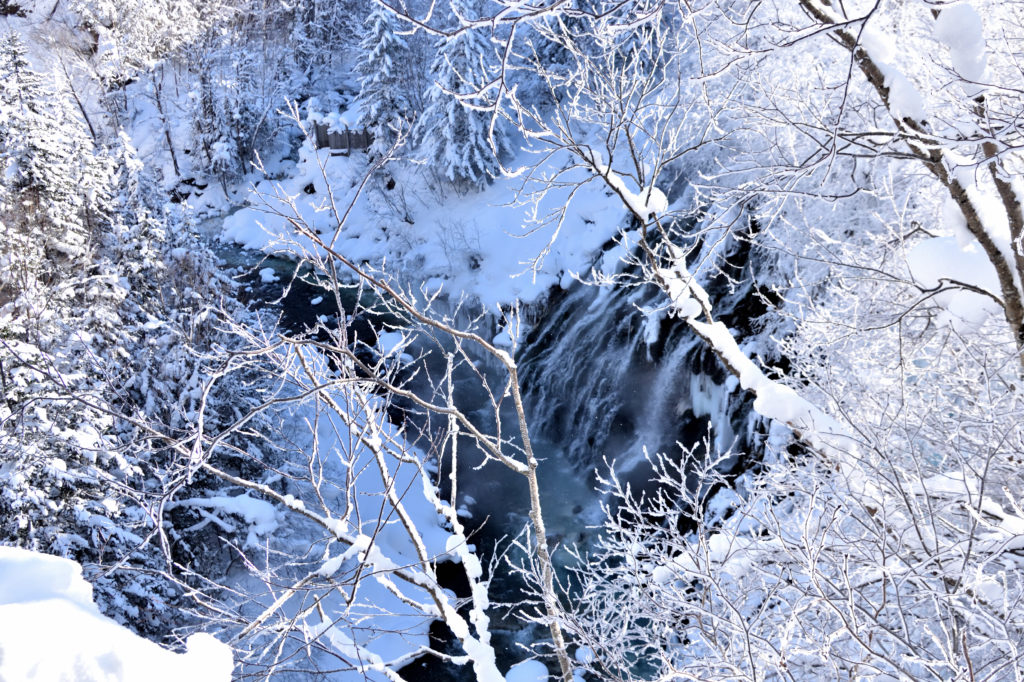 白ひげの滝と樹氷