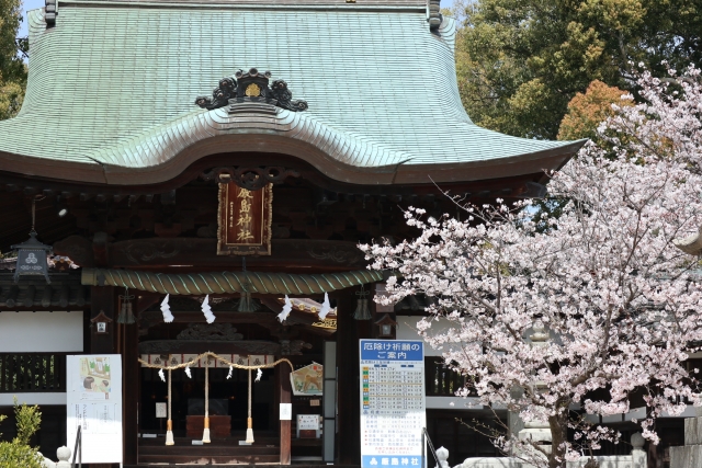 宮島の桜