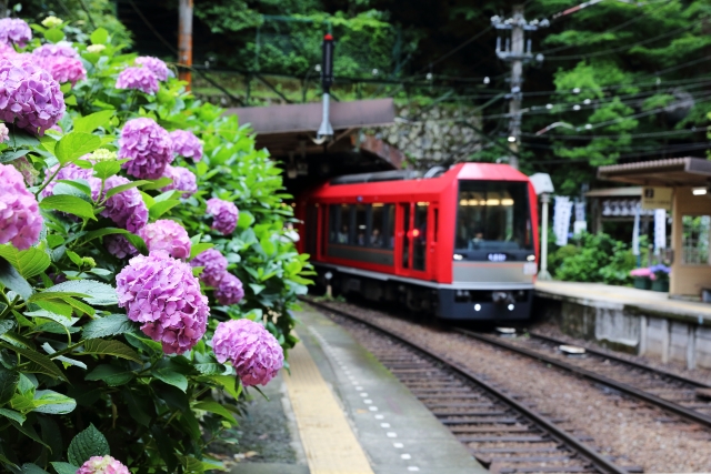 箱根登山鉄道あじさい電車