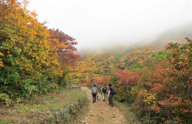安達太良山の紅葉