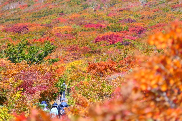 栗駒山の紅葉