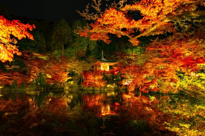 醍醐寺の紅葉の2021年ライトアップや見頃は？混雑やアクセスや駐車場は？