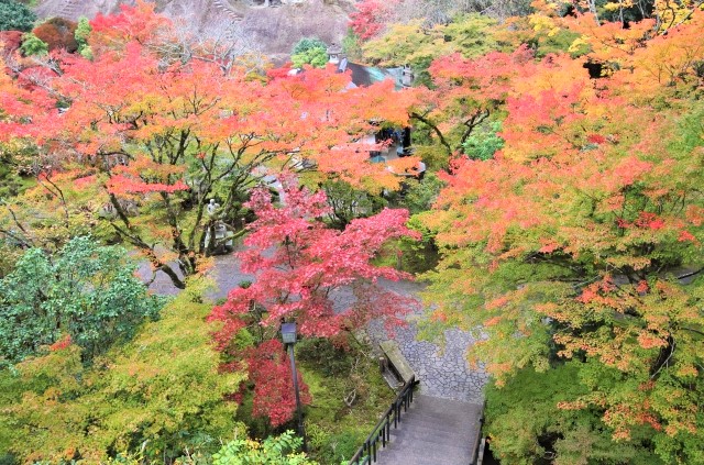 那谷寺の紅葉