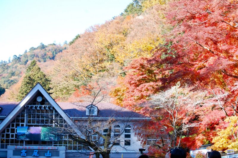 高尾山の紅葉