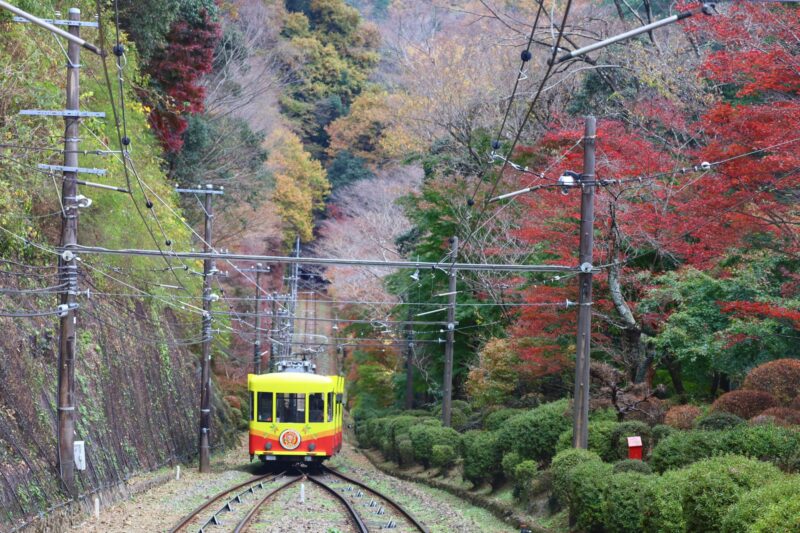 高尾山の紅葉