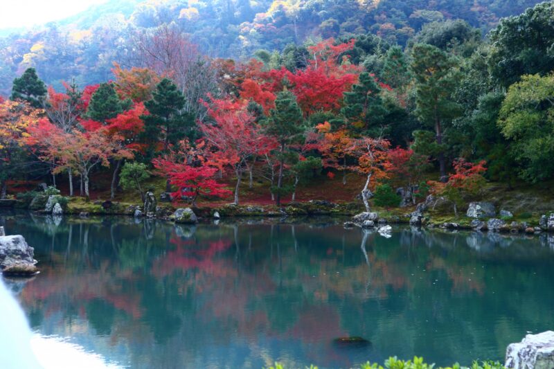 天龍寺の紅葉の2021年見頃やライトアップや早朝参拝は?混雑状況やアクセスは?