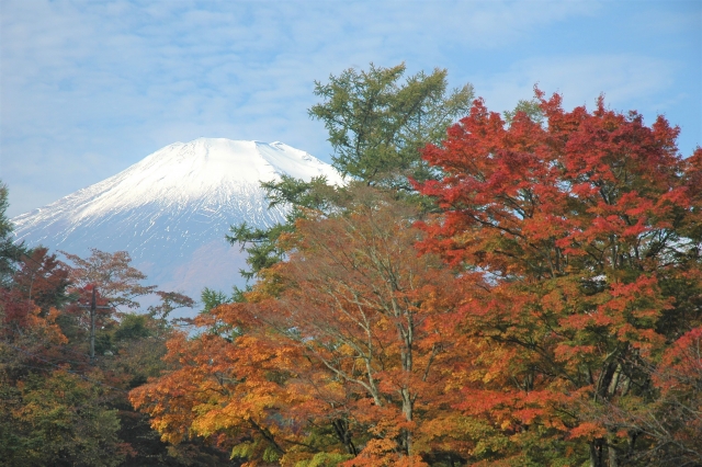 山中湖の紅葉まつりの2021年見頃時期やライトアップは?混雑やアクセスや駐車場は?