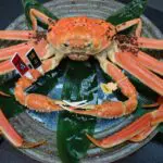 越前かにまつり・越前がに朝市2025の日程・時間や値段は？屋台や駐車場やアクセスは？