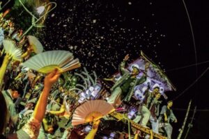 中条祭り2024の日程・スケジュールや屋台は？駐車場や交通規制やアクセスは？　