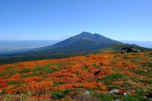 三ツ石山紅葉2025見頃時期や登山ルートは？網張展望リフト・アクセスや駐車場は？