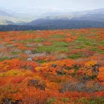 三ツ石山紅葉2024見頃時期や登山ルートは？駐車場や網張展望リフト・アクセスは？