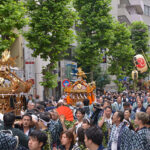 赤坂氷川祭2025の日程・スケジュールや屋台は？神輿コースやアクセスや駐車場は？
