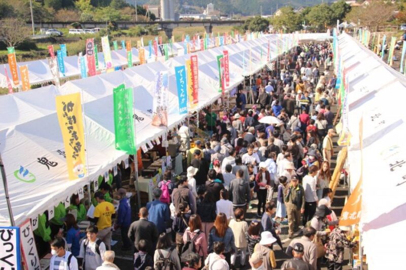 いよ観ネット公式サイトより引用