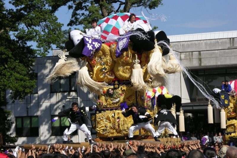 いよ観ネット公式サイトより引用