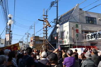 鴻巣市公式サイトより引用